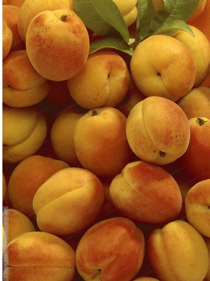 Abricots jaunes - photo référence FRU238N.jpg