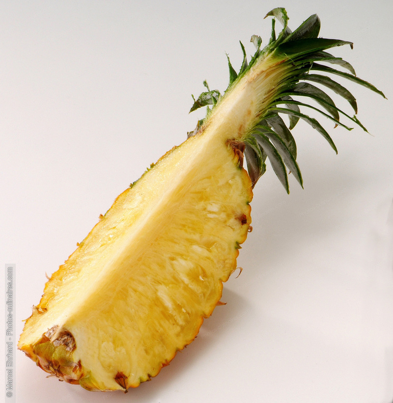 Ananas tranché - photo référence FRU254N.jpg