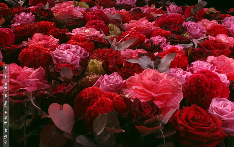 Bouquet de roses - photo référence AT21N.jpg