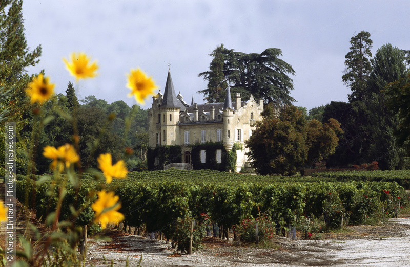 Château de France - photo référence VIN28.jpg