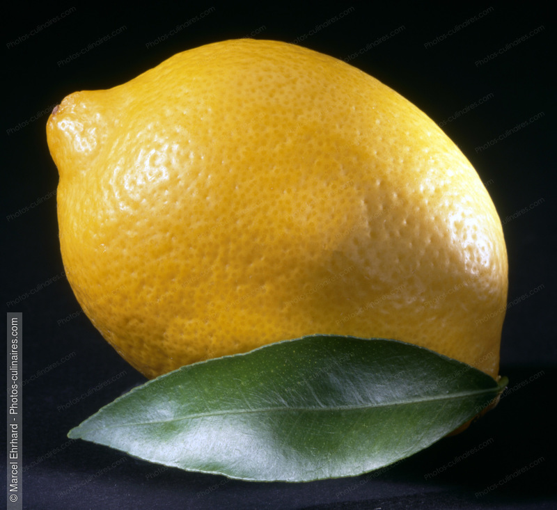 Citron jaune - photo référence FRU108.jpg