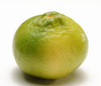 Citron vert bergamote