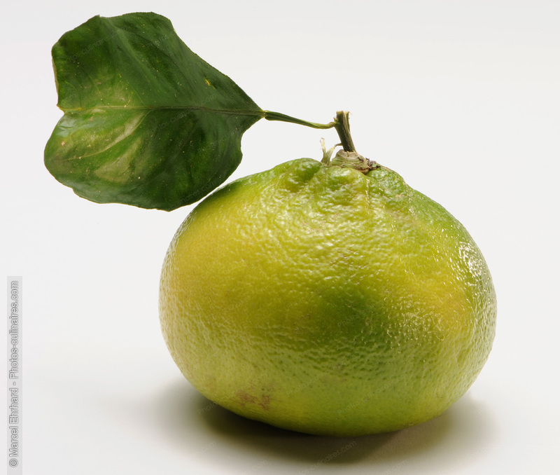 Citron vert bergamote - photo référence FRU313N.jpg