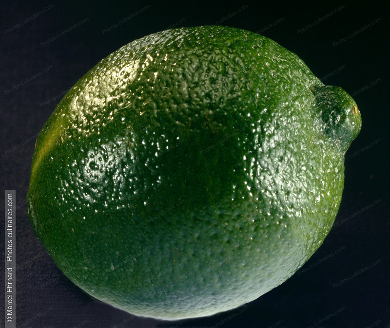 Citron vert - photo référence FRU117.jpg