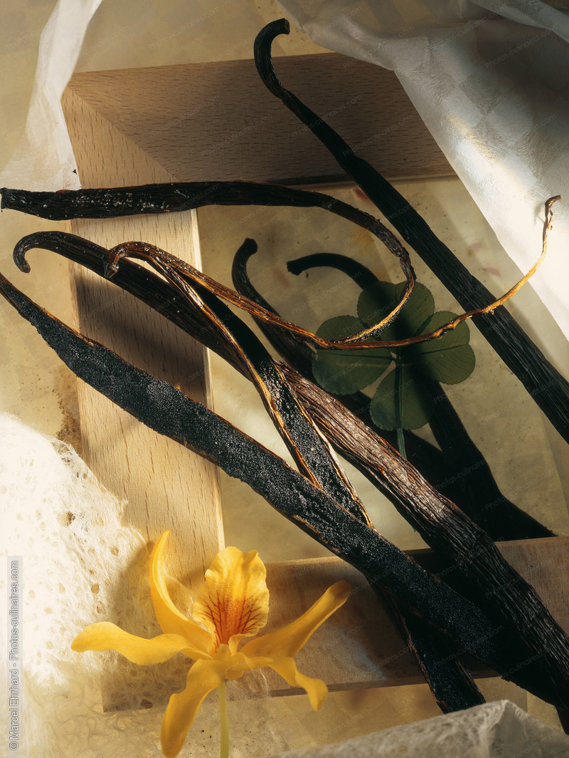Gousses et fleur de vanille - photo référence EP05.jpg