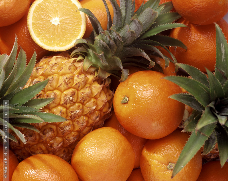Oranges et ananas - photo référence FRU3.jpg