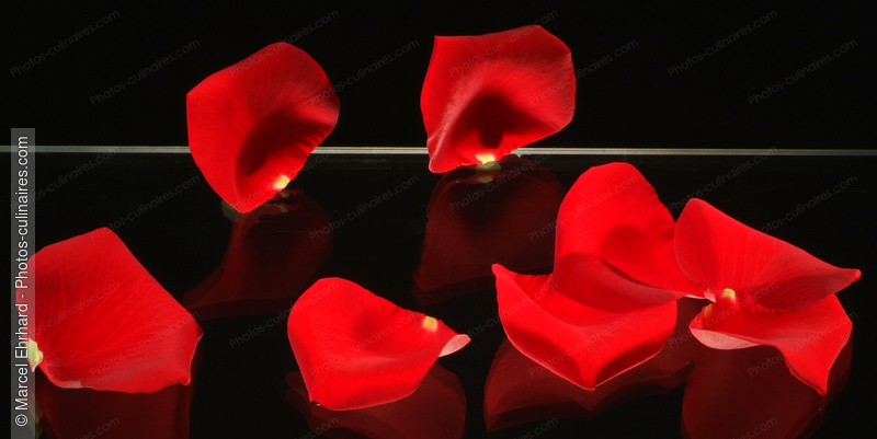 Pétales de rose rouge - photo référence NM45N.jpg