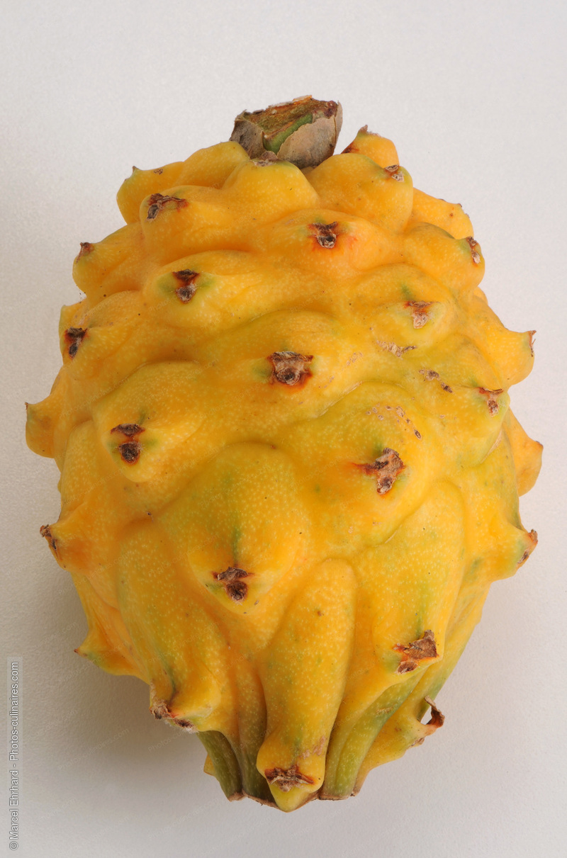 Pitaya jaune - photo référence FRU213N.jpg