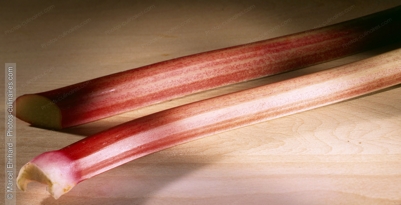 Tiges de rhubarbe - photo référence FRU143.jpg