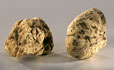 Truffes blanches d'Alba