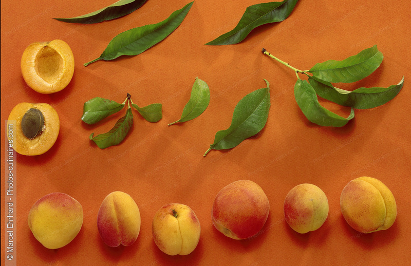 Abricots et feuilles - photo référence FRU239N.jpg