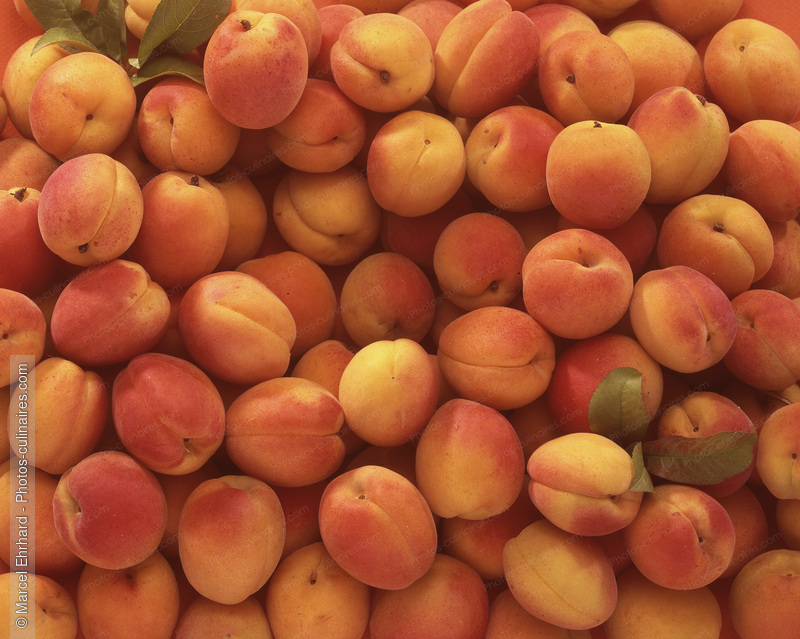 Abricots - photo r&eacute;f&eacute;rence FRU342.jpg