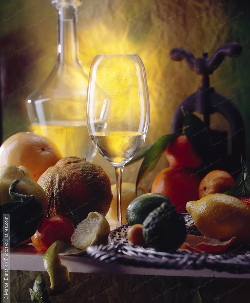 Agrumes et vin blanc - photo référence BO245.jpg