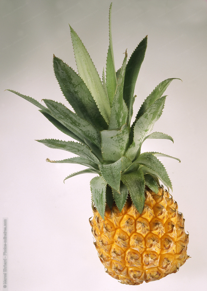 Ananas victoria - photo référence FRU210N.jpg