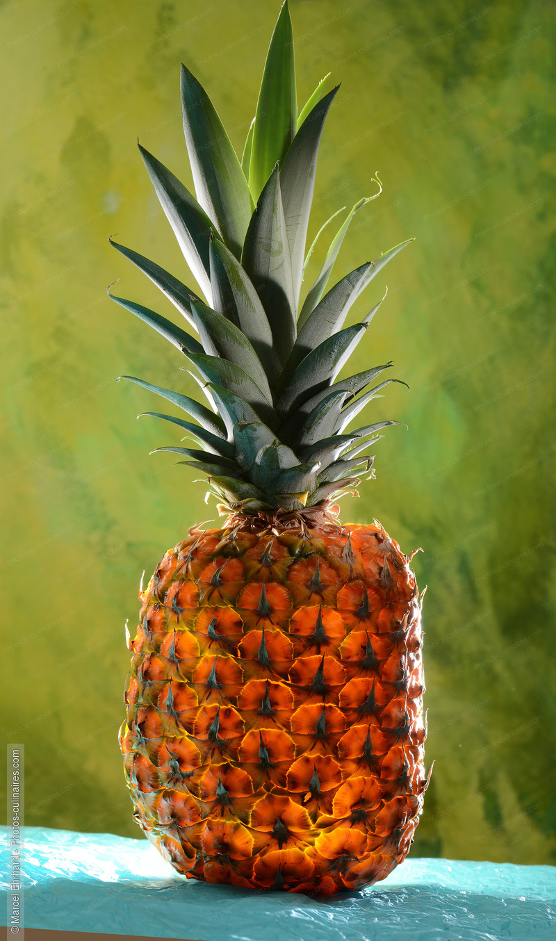 Ananas - photo r&eacute;f&eacute;rence FRU374N.jpg