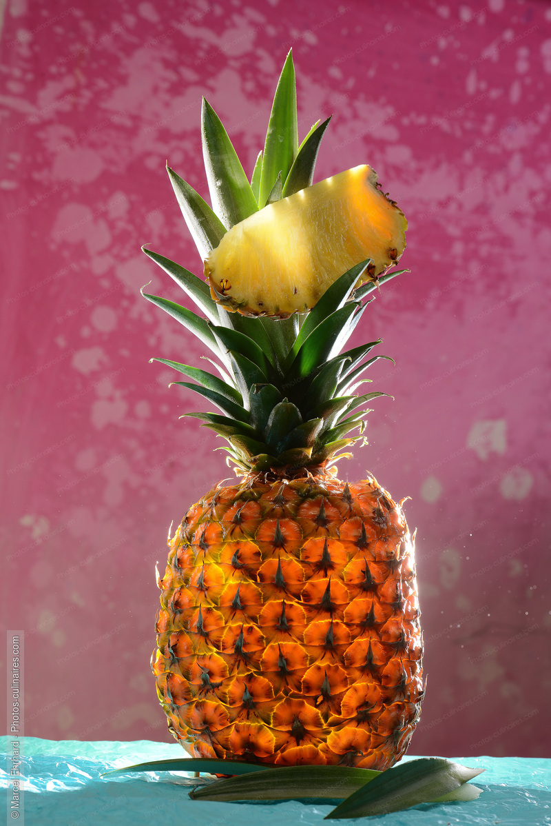 Ananas - photo r&eacute;f&eacute;rence FRU375N.jpg