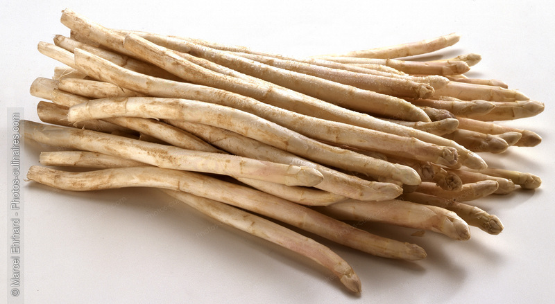 Asperges blanches de provence - photo r&eacute;f&eacute;rence LE50.jpg