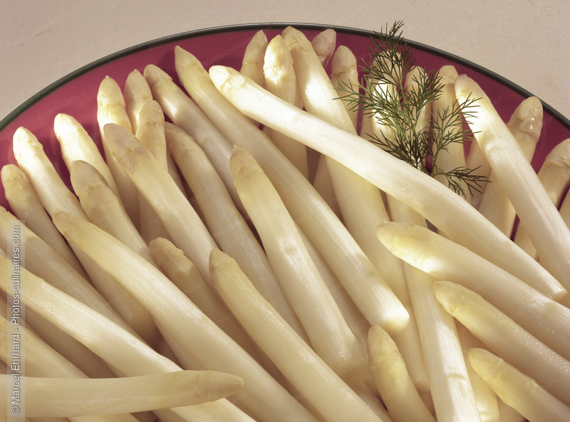 Asperges blanches - photo r&eacute;f&eacute;rence LE590.jpg