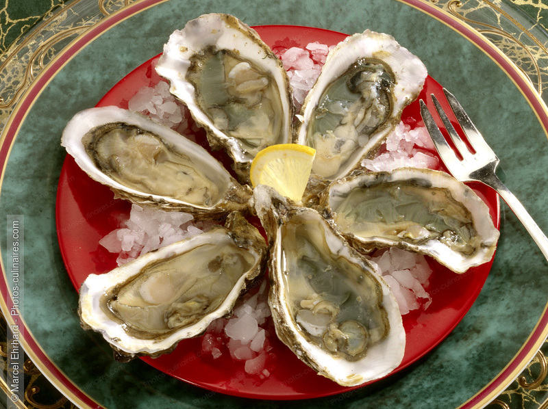 Assiette d'hu&icirc;tre - photo r&eacute;f&eacute;rence PO294.jpg