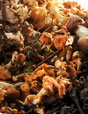 Assortiment de champignons