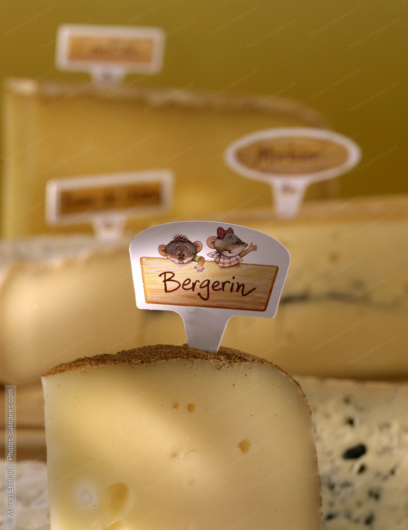 Assortiment de fromages - photo référence FR106.jpg