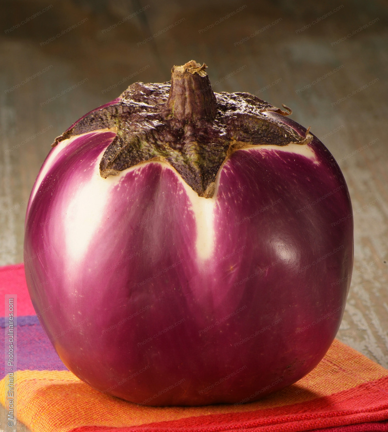 Aubergine ronde - photo r&eacute;f&eacute;rence LE149N.jpg