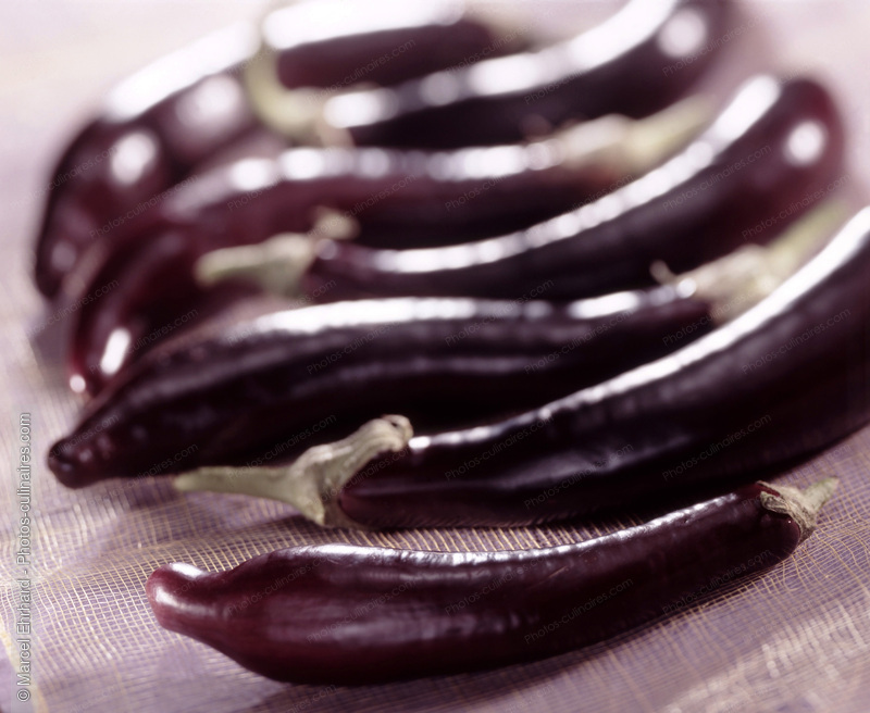 Aubergines violets - photo r&eacute;f&eacute;rence LE83.jpg