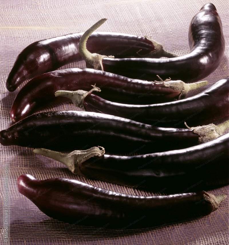 Aubergines violettes - photo r&eacute;f&eacute;rence LE86.jpg