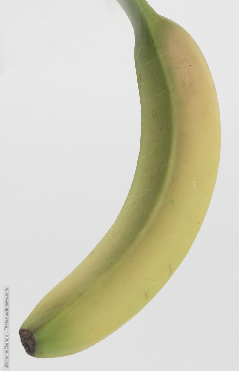 Banane debout - photo r&eacute;f&eacute;rence FRU384N.jpg