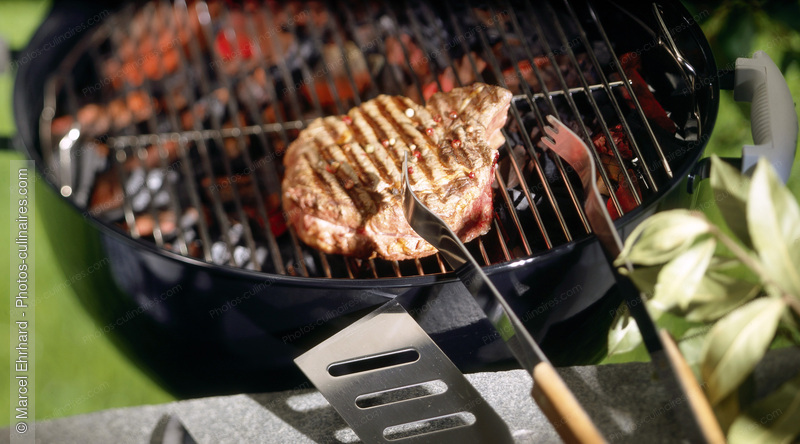 Barbecue en ext&eacute;rieur - photo r&eacute;f&eacute;rence PC527.jpg