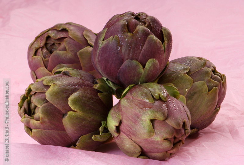 Barigoule - photo r&eacute;f&eacute;rence LE208N.jpg