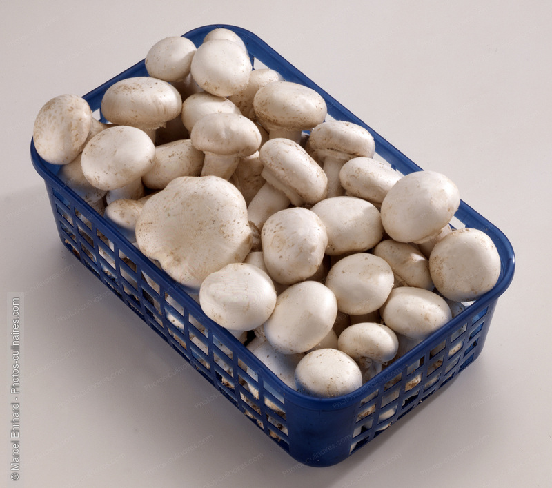 Barquette de champignons de Paris - photo r&eacute;f&eacute;rence LE57.jpg