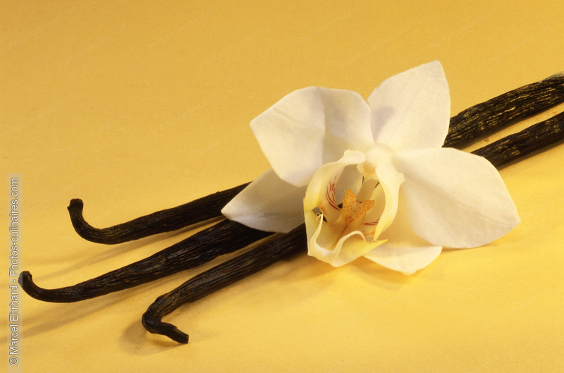 Bâtons et fleur de vanille - photo référence EP71.jpg