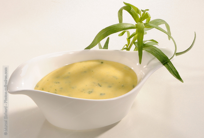 B&eacute;arnaise - photo r&eacute;f&eacute;rence PC734N.jpg
