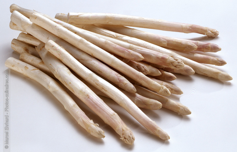 Botte d'asperges blanches - photo r&eacute;f&eacute;rence LE52.jpg