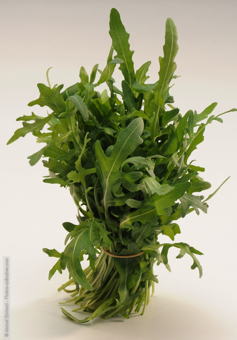 Botte de roquette - photo r&eacute;f&eacute;rence LE432N.jpg