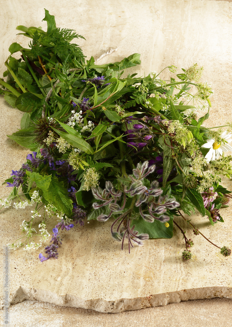 Bouquet d'herbe - photo r&eacute;f&eacute;rence LE644N.jpg