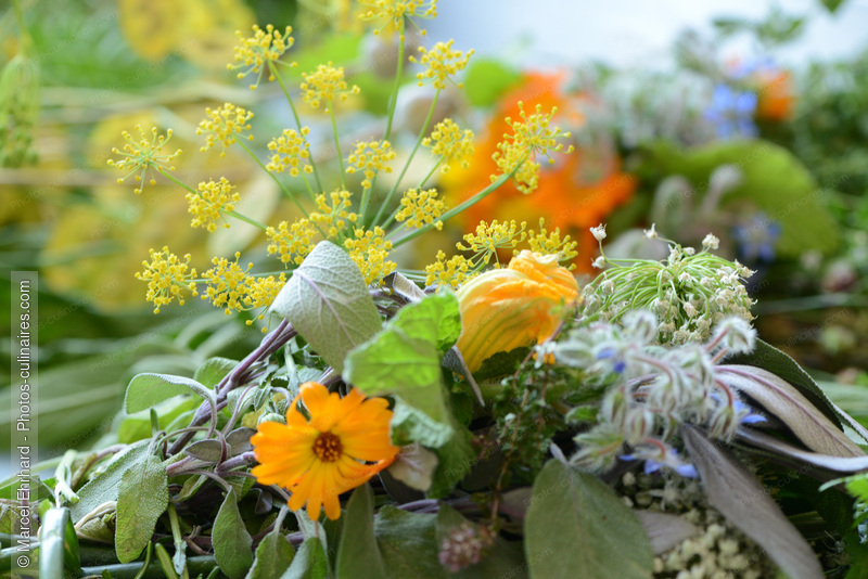 Bouquet d'herbes - photo r&eacute;f&eacute;rence NM132N.jpg