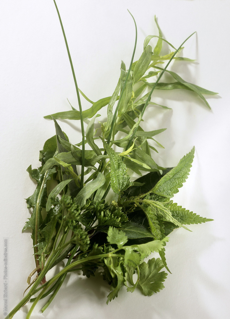 Bouquet de fines herbes aromatiques - photo référence LE179.jpg