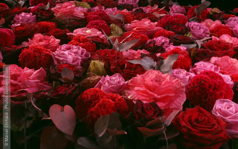 Bouquet de roses - photo r&eacute;f&eacute;rence AT21N.jpg