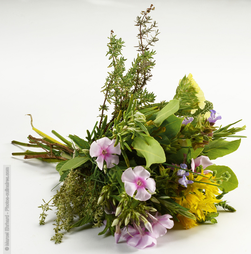 Bouquet fleurs des champs - photo r&eacute;f&eacute;rence LE655N.jpg