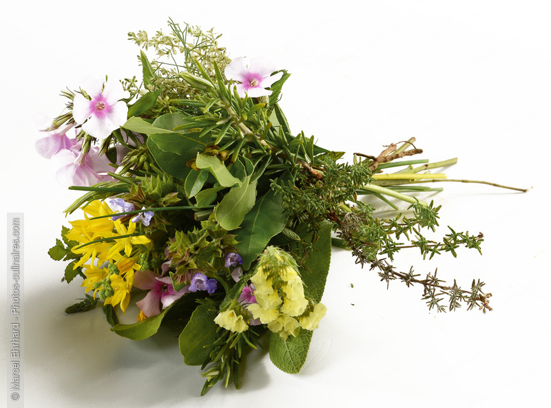 Bouquet fleurs des champs - photo r&eacute;f&eacute;rence LE657N.jpg