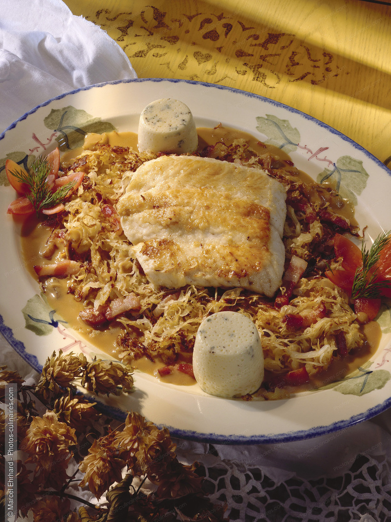 Brochet &agrave; la bi&egrave;re - photo r&eacute;f&eacute;rence PO620.jpg