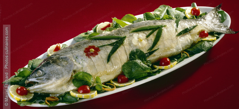 Brochet farci en gel&eacute;e, - photo r&eacute;f&eacute;rence PO191.jpg