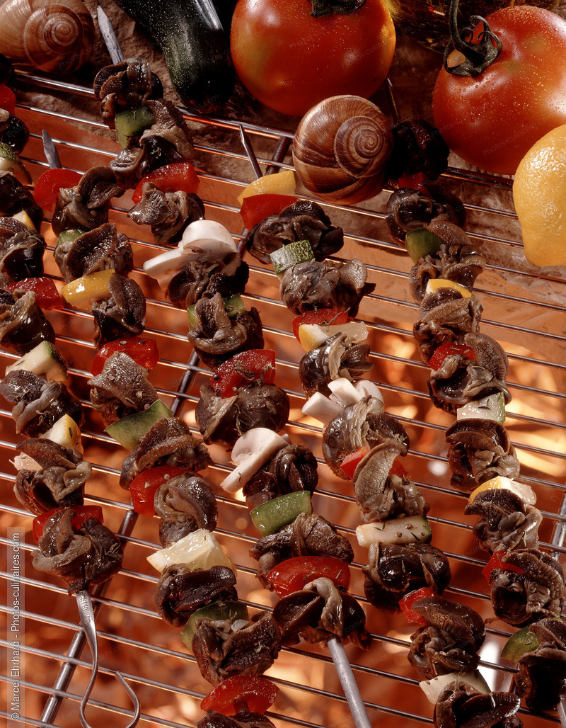 Brochettes d'escargots - photo r&eacute;f&eacute;rence ES3.jpg