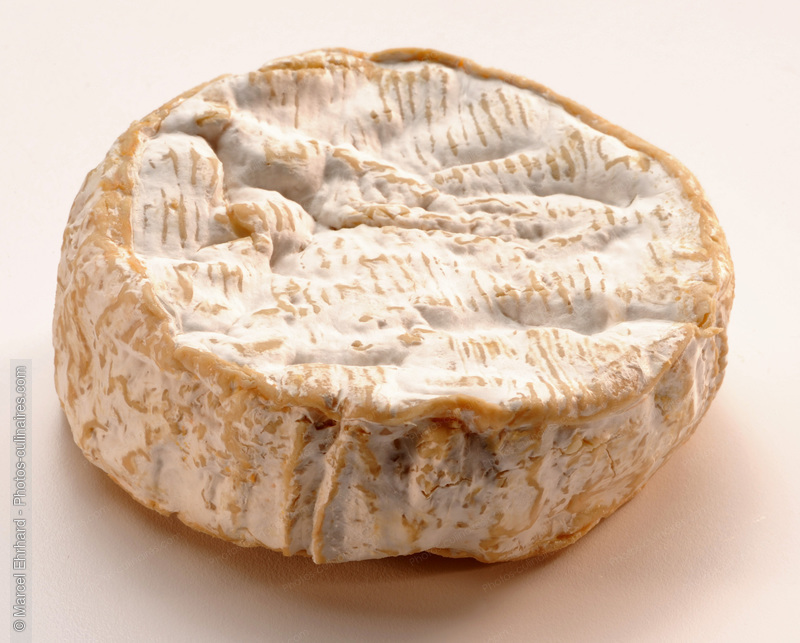 Camembert de Normandie - photo référence FR278N.jpg