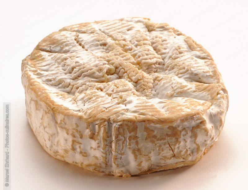 Camembert de Normandie - photo r&eacute;f&eacute;rence FR279N.jpg