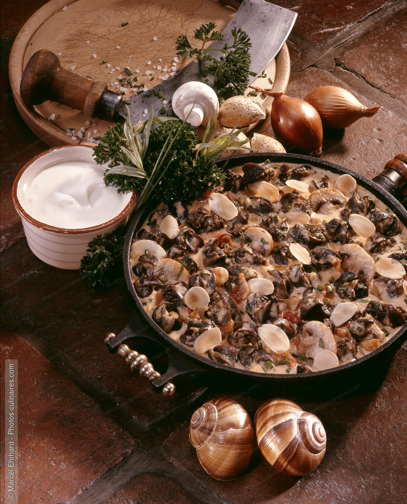 Cassolette d'escargots foresti&egrave;re - photo r&eacute;f&eacute;rence ES20.jpg