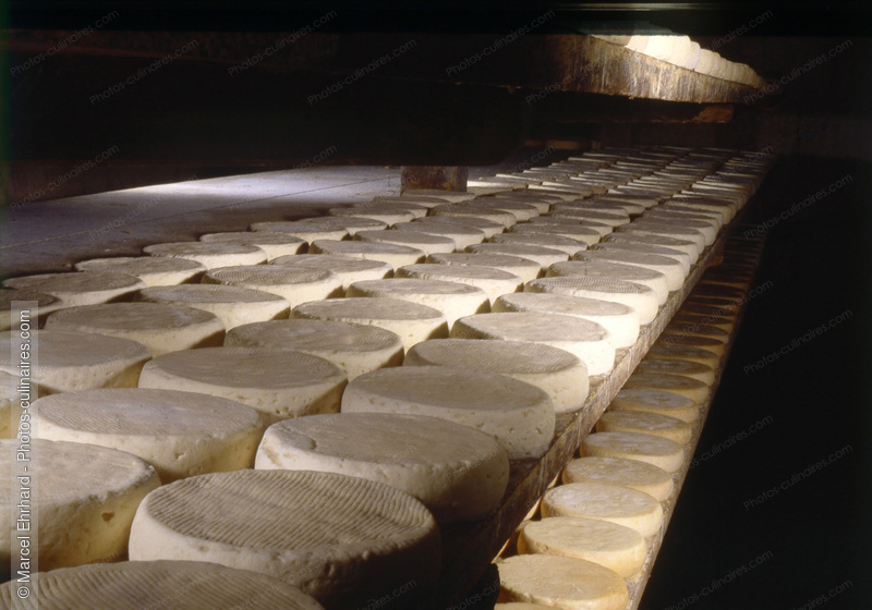 Cave d'affinage - photo r&eacute;f&eacute;rence FR315N.jpg