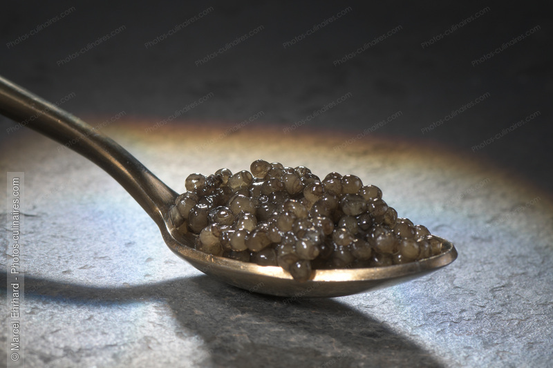 caviar, oeuf de poisson, esturgeon,oeuf d'esturgeon,or noir, beluga, osci&egrave;tre, baeri, cuill&egrave;re de caviar, grain de caviar, - photo r&eacute;f&eacute;rence PO650.jpg